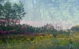 浦东宝藏机位：滨江日落·浦东世博公园！建议工作日傍晚去，“落日橘子海”真的很美#滨江 #日落 #小众打卡 【编导：黄丹青】