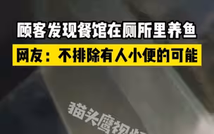 西安一餐馆在厕所里养食用鱼，顾客直呼恶心：别点那个鱼