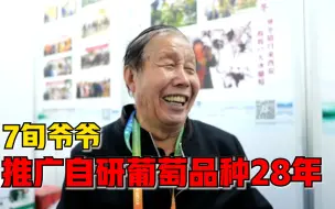 7旬爷爷推广自研葡萄品种28年：每届农高会都亲自来讲解