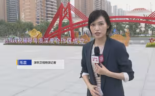 横琴粤澳深度合作区组织架构和机构领导名单公布