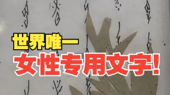 从“闺房文化”到国际舞台 世界唯一女性文字的时尚新生