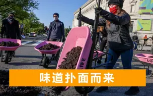 为反对拜登的气候计划：抗议者来到白宫外，倒了12车牛粪臭气熏天