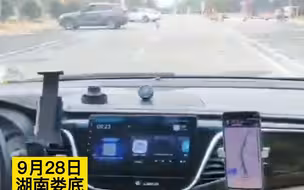 女子将狗忘服务区1小时后想起，狗狗看到她很激动，一路小跑过来