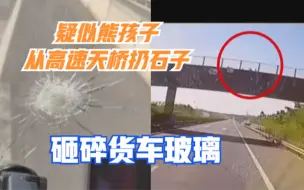 广东：疑似熊孩子从高速天桥扔石子，砸碎货车玻璃，司机手臂受伤