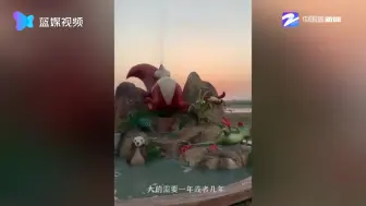 水泥做的白菜你见过吗