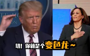 不甘示弱！特朗普替拜登“翻旧帐”：你那变色龙副手没少说你坏话