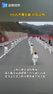500人共舞太极 你见过吗