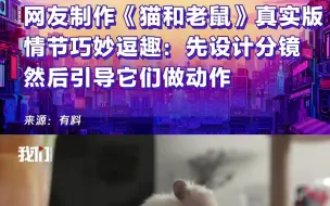 网友制作《猫和老鼠》真实版“大电影”情节巧妙逗趣：先设计分镜 然后引导它们做动作