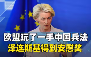 为阻挡俄罗斯，欧盟玩了一手中国兵法，泽连斯基得到一个安慰奖