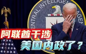 终日玩鹰被鹰啄了眼？美情报部门自曝，阿联酋操纵美国政治多年