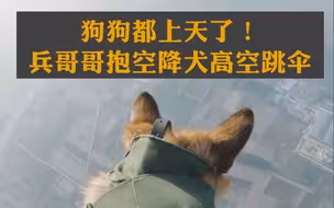 名副其实的神犬奇兵！空降兵抱空降犬高空跳伞