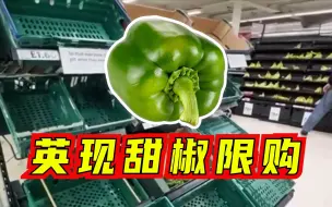 英国又现“蔬菜荒”：部分甜椒已经断供，有超市开始限购甜椒