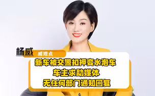 新车被交警查扣变水泡车！