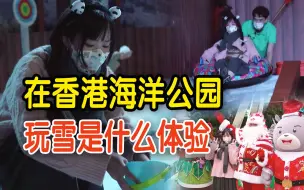 香港也下雪？海洋公园变身芬兰圣诞小镇 带你飘雪夜游冬日市集！