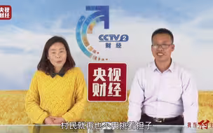 嘴里吃的、桌上摆的，全是致富法宝！人均纯收入18000元，靠它→