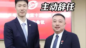 刘国梁主动辞任 王励勤当选中国乒协主席 马龙为副主席