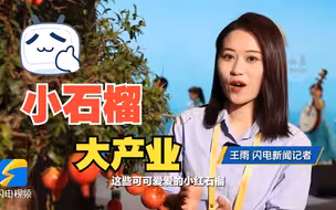 火红的“小石榴” 红火的“大产业”