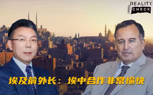 求实论事｜埃及前外长：多样化伙伴关系符合埃及利益 埃中合作非常愉快