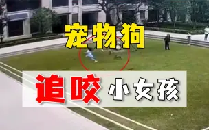 被狗追咬30秒，小女孩无助乱跑摔伤，狗主人一旁淡定围观