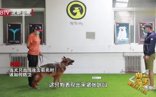 当狗狗出现攻击前兆时，我们该如何做好保护呢？