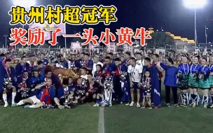 贵州村超冠军的奖品真接地气：点球决出胜负，奖品为一头小黄牛
