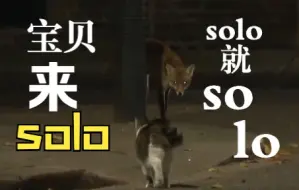 “英国首席捕鼠大臣”虎斑猫赖瑞深夜驱逐野狐狸 有趣一幕被拍下