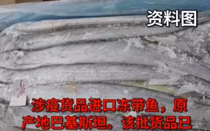 天津一批巴基斯坦进口冻带鱼及外包装核酸检测出阳性