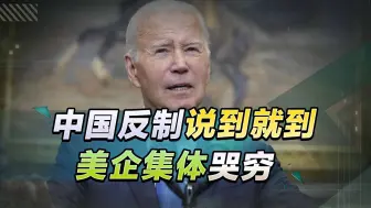 挑战一中原则的后果很严重，中国反制说到就到，多家美企集体哭穷