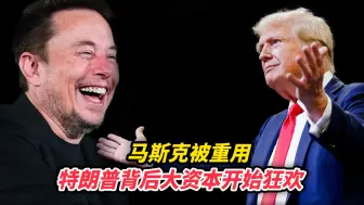 马斯克被重用，特朗普背后大资本开始狂欢