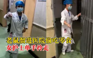 老鼠偷零食被打死女护士单手拎走，同事：连着好几天偷吃零食