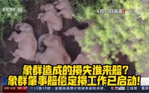 象群造成的损失谁来赔？象群肇事赔偿定损工作已启动！