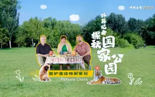 中国为了保护环境有多拼 ？外国网红：中国不只看眼前而是谋划长远