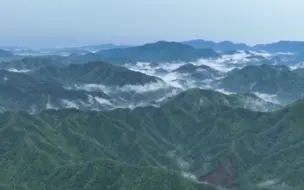 中国成为全球增绿最快最多国家 去年完成国土绿化任务超1亿亩