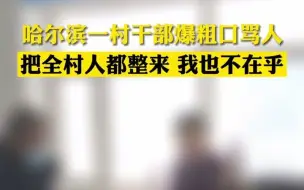 哈尔滨一村干部爆粗口骂人：把全村人都整来 我也不在乎