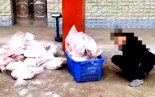 现场！4名偷狗贼毒杀89狗被捕 民警当场查获1600斤狗肉、毒镖…
