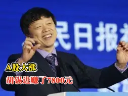 A股大涨胡锡进赚了7800元