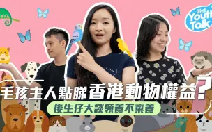 竟有人因移民弃养动物！？毛孩主人如何看香港的动物权益？