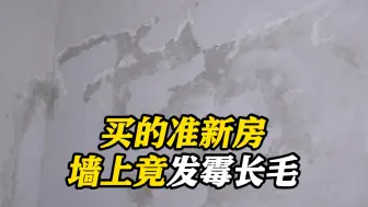 600万给儿子买的准新房 仅3个月墙上竟发霉长毛
