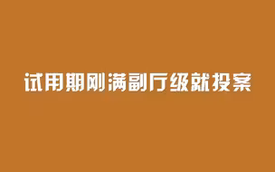 试用期刚满 副厅级就投案