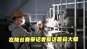 在陇台商带海峡两岸记者探访菌菇大棚：这里有广阔发展空间！