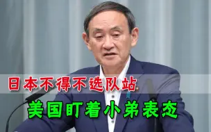 日本不“制裁”中国，美国逼着表态，日议员：不做什么会被孤立
