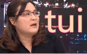 台湾人的肚子是垃圾桶吗？陈玉珍怒轰谢长廷是“助日代表”