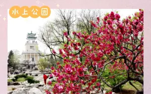 春色满园，赏津城4月之美！