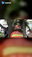 男孩爬树被卡住 消防扩张树干将他救出