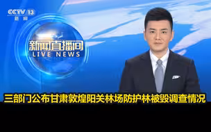 【权威发布】三部门公布甘肃敦煌阳关林场防护林被毁调查情况：林场西南片区存在防护林减少，毁林开垦