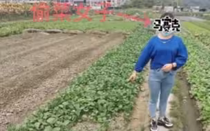 4女子为寻刺激 半夜开保时捷偷菜 民警：已拘留