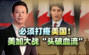 必须打疼美国！加拿大甩出一个威胁，正告特朗普：不介意头破血流