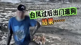 糗大了！台风过后出门遛狗 竟然双双深陷淤泥……