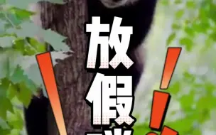 过完今天就放假了！这份假期出行指南请收好！