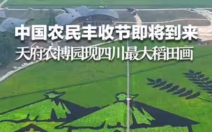 中国农民丰收节即将到来 成都天府农博园现四川最大稻田画！